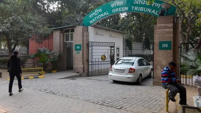 NGT directs DDA to look into plea alleging discharge of untreated sewage in east Delhi lake NGT