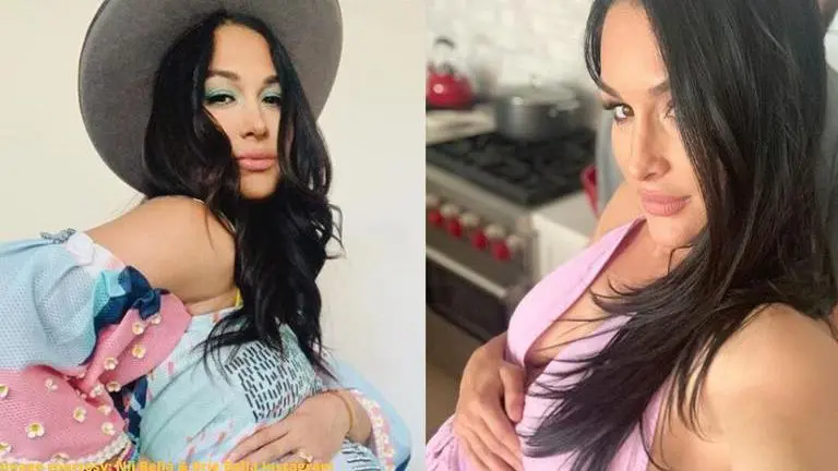 WWE Divas Nikki and Brie Bella post bold pregnancy photoshoot pictures on Instagram nikki bella