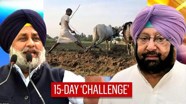 Akali Dal challenges Punjab CM; asks 'When will state farm bills come in force?' Punjab