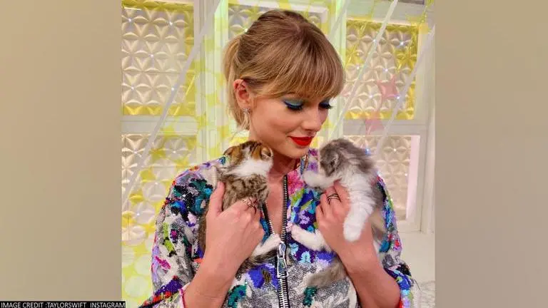 Taylor Swift's new TikTok video proves that she is a 'proud Cat lady': Watch: Taylor Swift