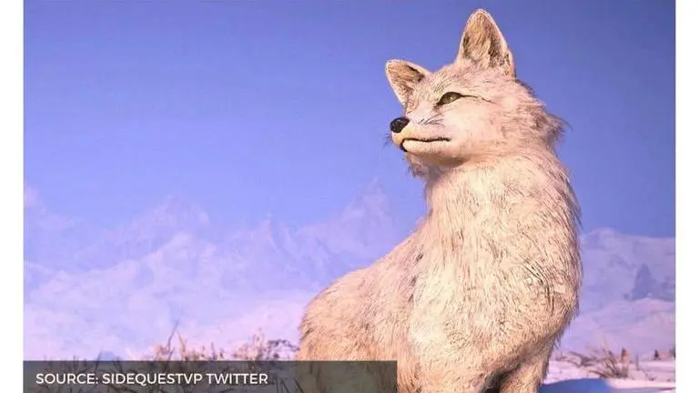 AC Valhalla Arctic Fox: Know where to farm Arctic Fox in AC Valhalla Source: SidequestVP Twitter