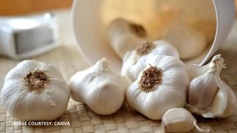 Desi Hacks: Easy steps to grow garlic at home without much hassle desi hacks