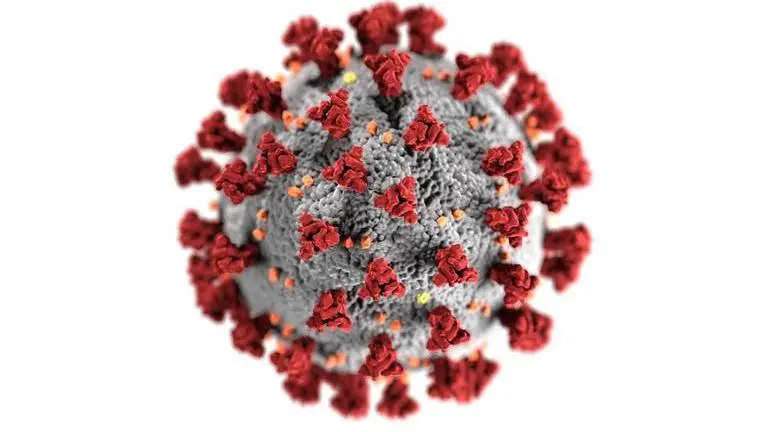 This air monitor can identify Covid variants in just 5 minutes New air monitor can detect Covid variants in about 5 minutes