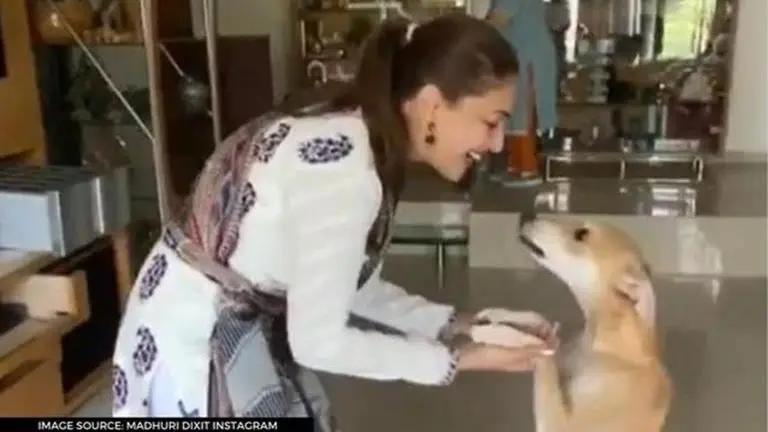 Madhuri Dixit's weekend is all about dancing with her pooch, ghungroos and all; watch Madhuri Dixit