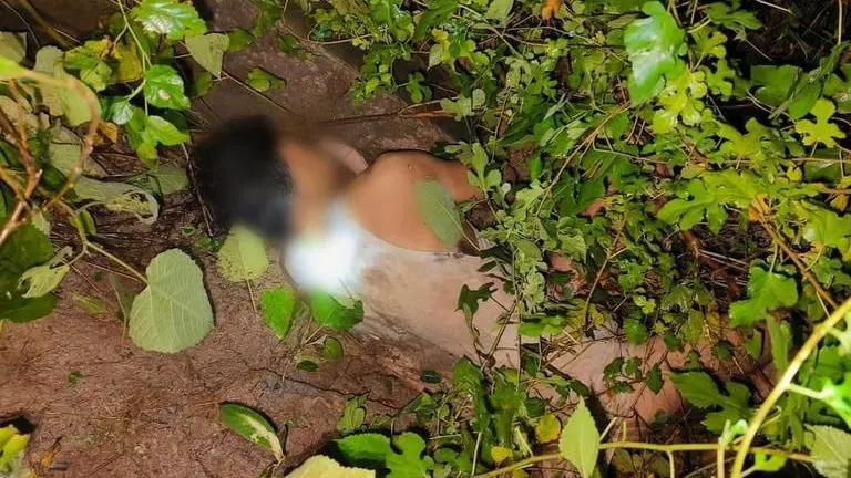 BSF guns down Pak intruder along international border in Punjab’s Pathankot BSF