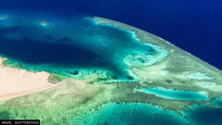 Deadly brine pool discovered under Red Sea can kill anything that swims into it deadly brine pool