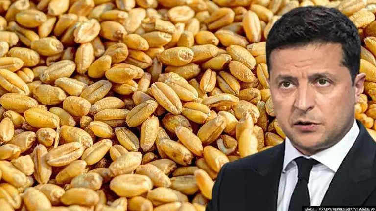 Ukraine wants G7 to form organization of grain-exporting nations to tackle food scarcity Ukraine