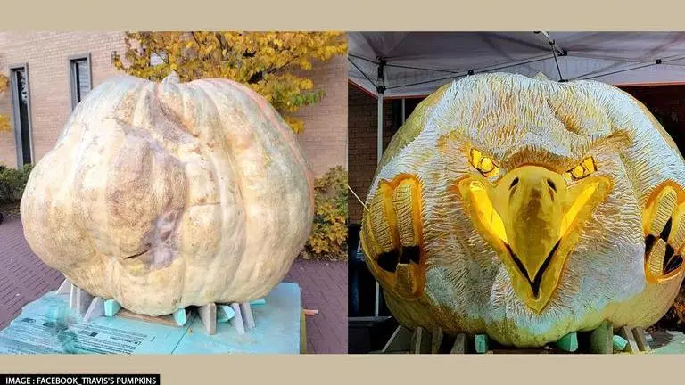 Ahead of Halloween, biggest pumpkin in US transforms into world's largest jack-o'-lantern Pumpkin