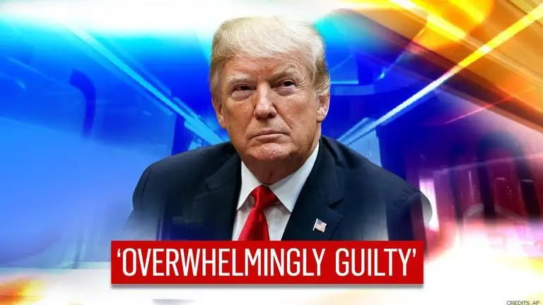 'Convict Trump': Democrats 'humbly' urge US Senate to 'focus on facts' Trump