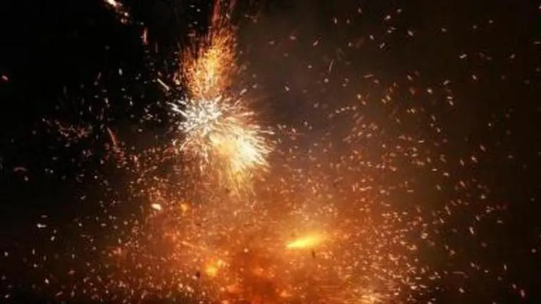 Petition challenging firecracker ban withdrawn from Delhi High Court ahead of Diwali Diwali