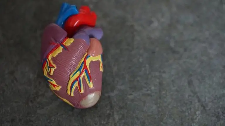 World Heart Day 2020 theme, meaning, significance and other important details world heart day 2020