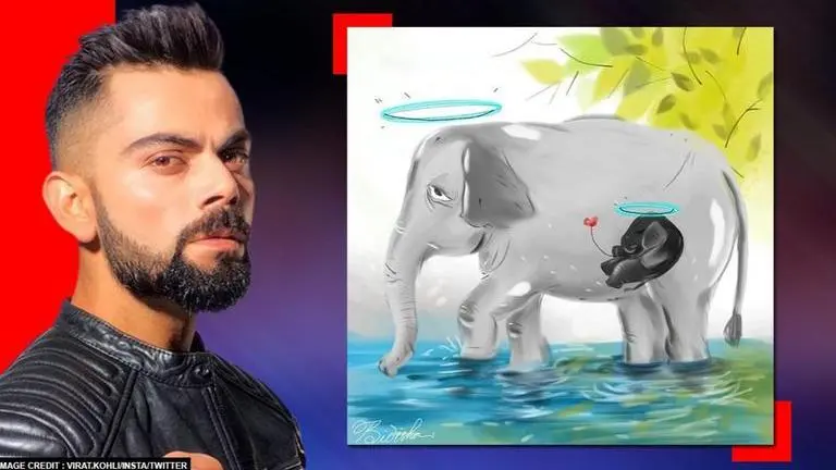 Pregnant elephant's death: 'Appalled' Virat Kohli calls for end to cowardly acts Pregnant Elephant's Death