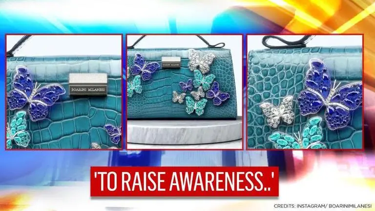 most expensive handbag