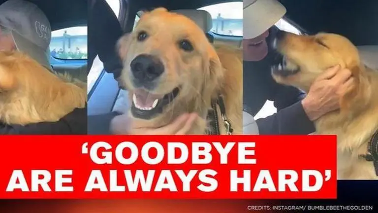 Grandpa bids goodbye to doggo; Video goes viral on social media grandpa