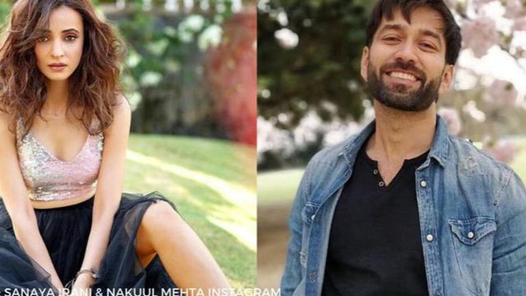 Sanaya Irani & Nakuul Mehta request fans to help strays as Cyclone ...