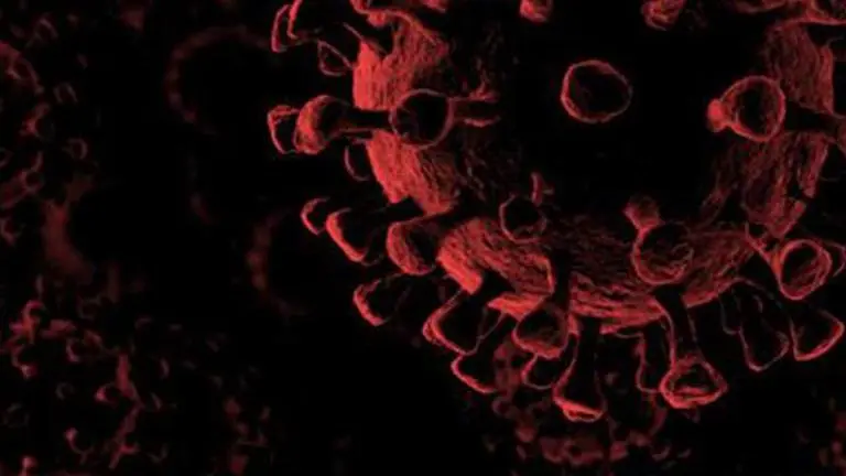 Illinois reports 72 new deaths, 975 cases of the coronavirus