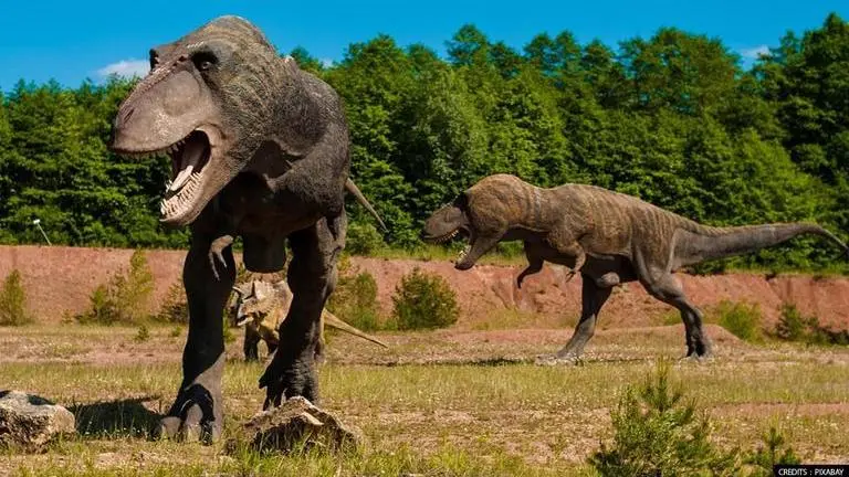 Dinosaur remains found in Australia; fossil remains estimated to be 95 million years old Dinosaur