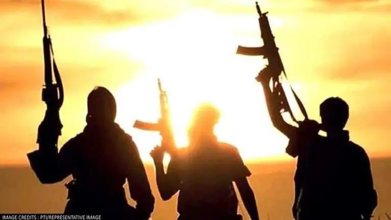 In J&K, terrorists lob grenade at migrant labourers in Shopian; two injured J&K