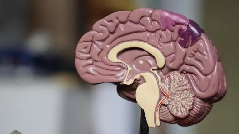 Nobel Prize-winning scientist Daniel Kahneman gives rationale behind AI outworking humans Nobel-winning scientist