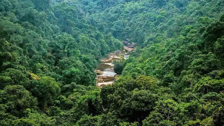 Centre to make oil exploration in forests cheaper and easier for mining companies FAC