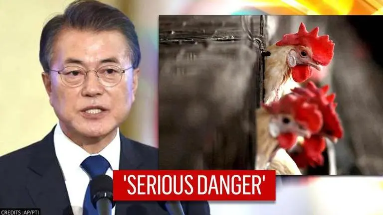 South Korea culls nearly 19 million poultry animals to curb spread of bird flu South Korea