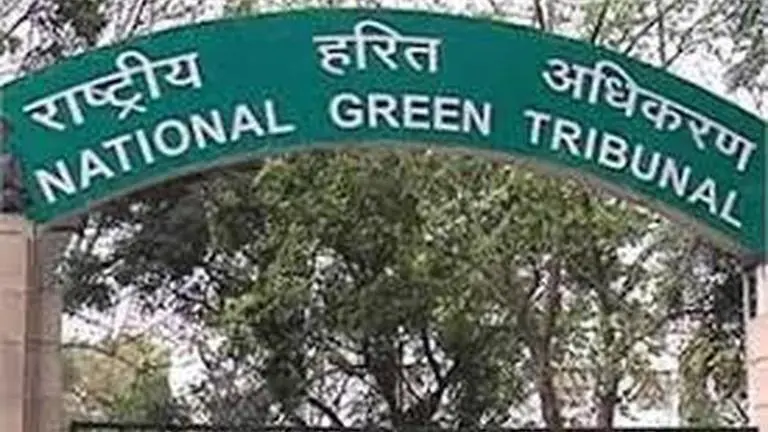 NGT raps Gurugram authority over improper maintenance of stormwater drains