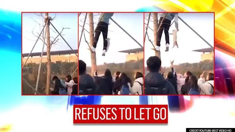 Video: Scared cat clings onto man who rescued it from a tree, refuses to get down cat
