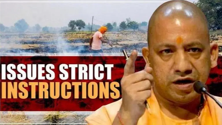 Yogi Adityanath issues strict instructions to curb stubble burning in UP Yogi Adityanath