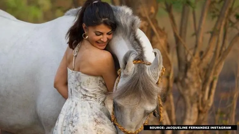Jacqueline Fernandez has been spending her quarantine amid nature; Take a look Jacqueline Fernandez
