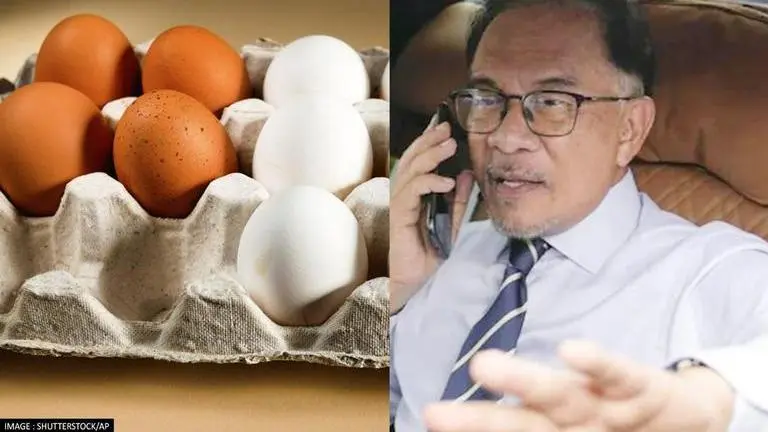As Malaysia faces egg shortage, PM Anwar Ibrahim advises people against panic buying Malaysia