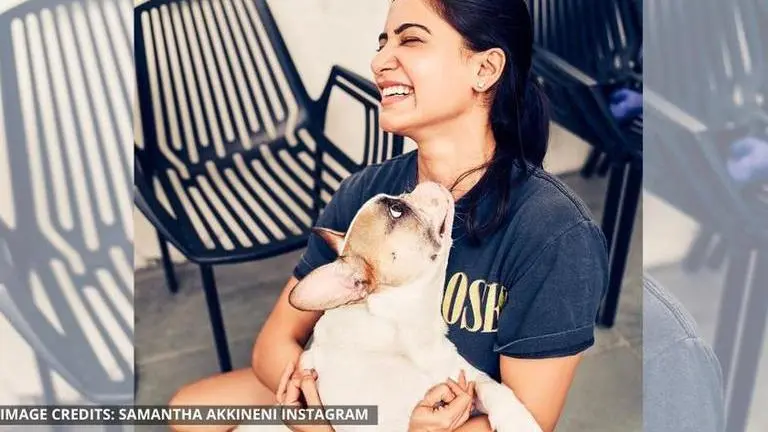 Samantha Akkineni to share the screen with pet dog Hash, fans praise 'mother-son duo' samantha akkineni
