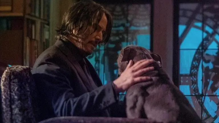 Keanu Reeves' 'John Wick 4' avoids clash with 'Top Gun 2'; postpones release date to 2023 keanu reeves' John Wick movie release date pushed