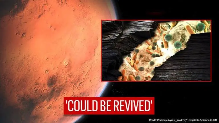 Earth microbes could survive on Martian surface, says a new study Earth