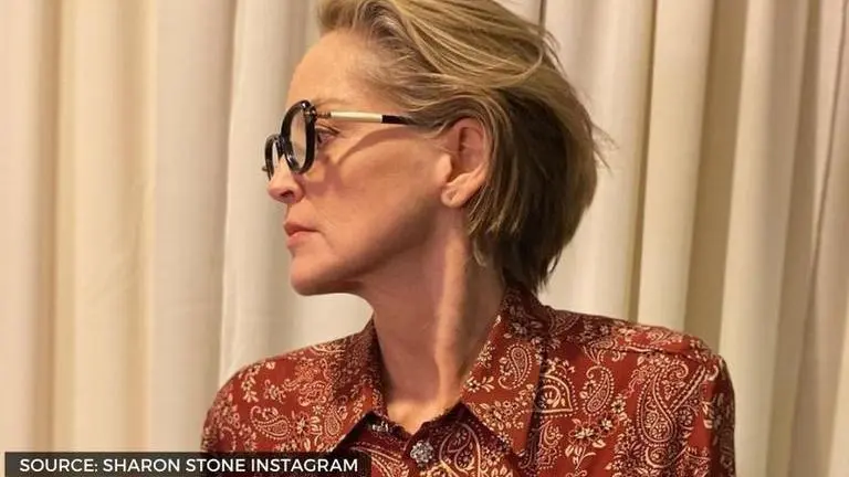 sharon stone's basic instinct