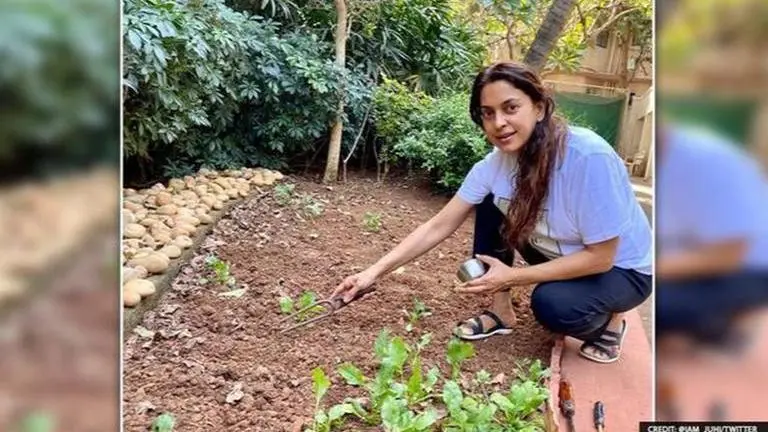 Juhi Chawla takes to her 'new work' amid lockdown, proudly shows off her skills; see pics Juhi