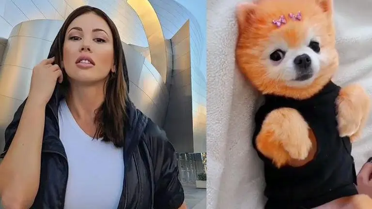 Russian model faces flak after colouring dog's fur Neon Orange; 'Is it really safe?' Model