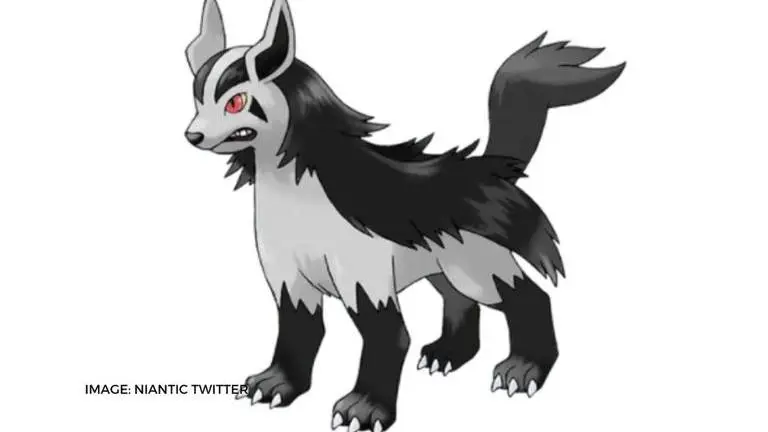 Pokemon Go: How to get Mightyena? A detailed, step by step guide pokemon go
