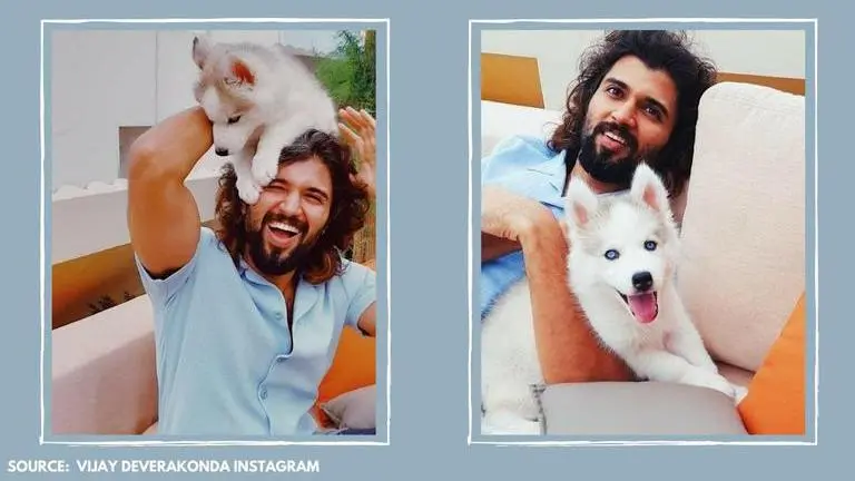 Vijay Deverakonda shares a shirtless picture with his 'cute beast', fans call him cuter Vijay Deverakonda