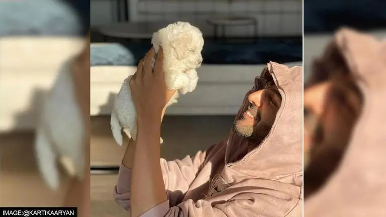 Kartik Aaryan introduces his pet 'Katori' to fans on social media; 'I'm in love again' kartik aaryan