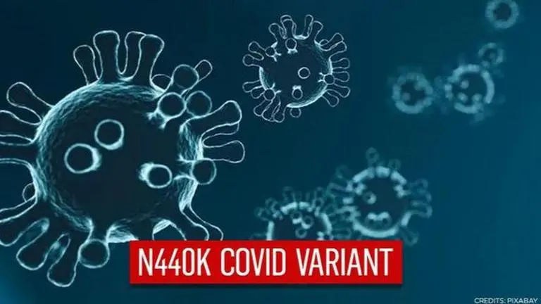 N440K COVID variant Spreading 'A Lot More' in Indian Southern States: CSIR-CCMB report Coronavirus variant