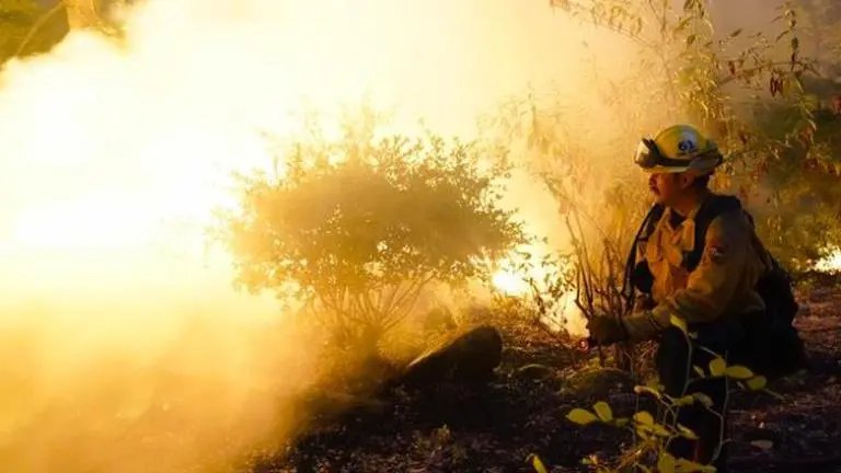 Thick plumes of smoke engulf Healdsburg, California