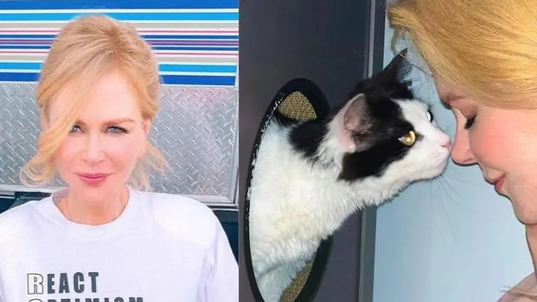 Nicole Kidman Brings Home A New Furry Friend; Introduces It To Fans On Instagram Nicole Kidman