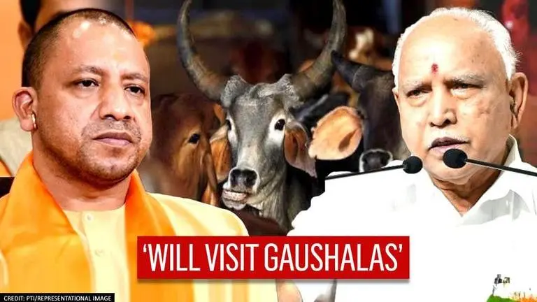 Anti-Cow Slaughter Law in Karnataka soon? Minister To visit 'gaushalas' in UP, Gujarat Anti-Cow Slaughter Law