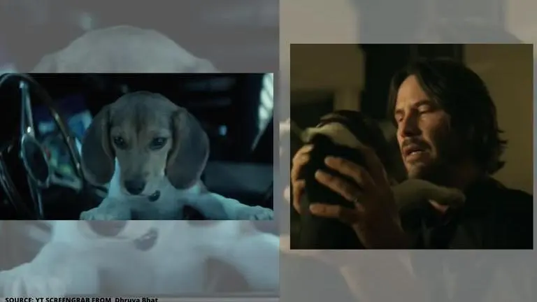 John Wick's puppy Daisy is at an Animal Actor Farm, confirms his trainer john wick's puppy