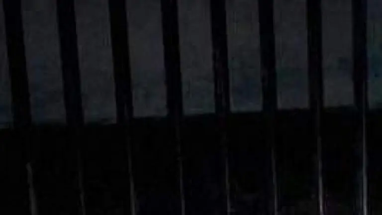 11,000 prisoners in Maharashtra to get parole: Minister