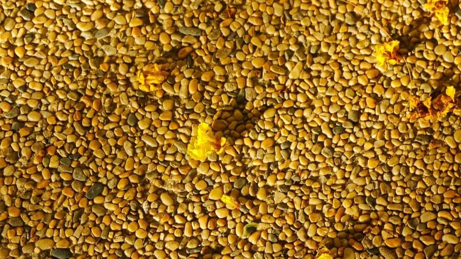 Description of the pic