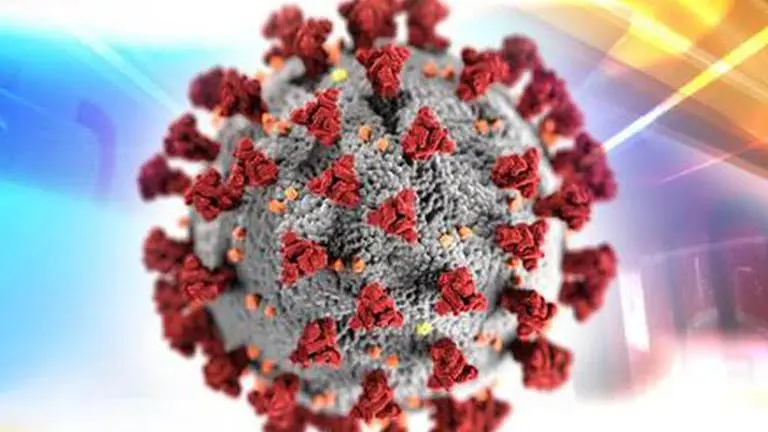 Long-term exposure to air pollution may increase COVID-19 death risk, say scientists