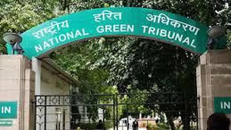NGT seeks report on plea alleging pollution in East Delhi lake NGT