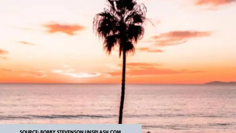 Summer Solstice images which will make you marvel at nature’s beauty Summer solstice images