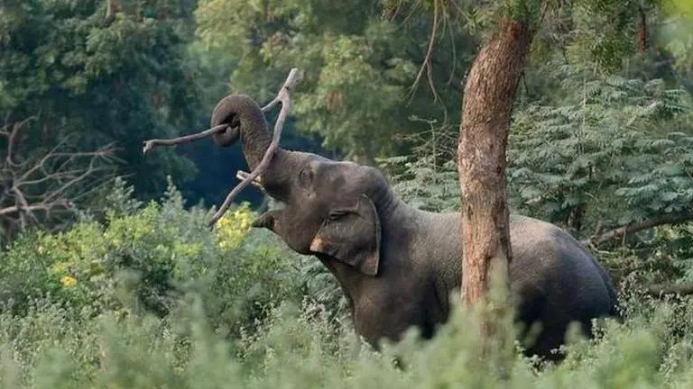 Representative Image